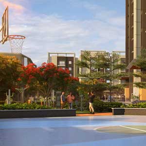 Basketball Court
